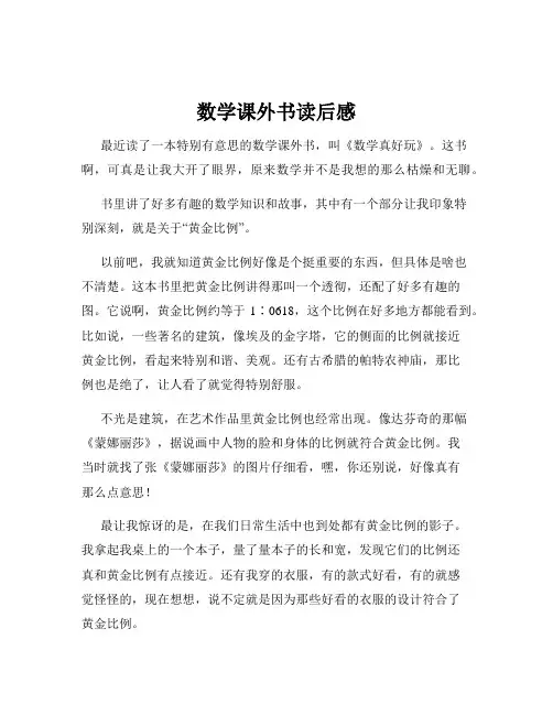数学课外书读后感
