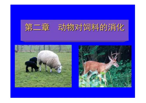 第二章  动物对饲料的消化与吸收
