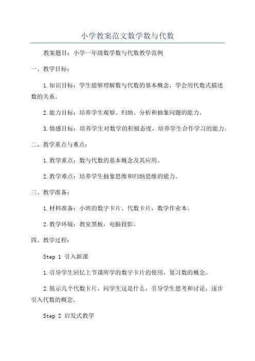小学教案范文数学数与代数