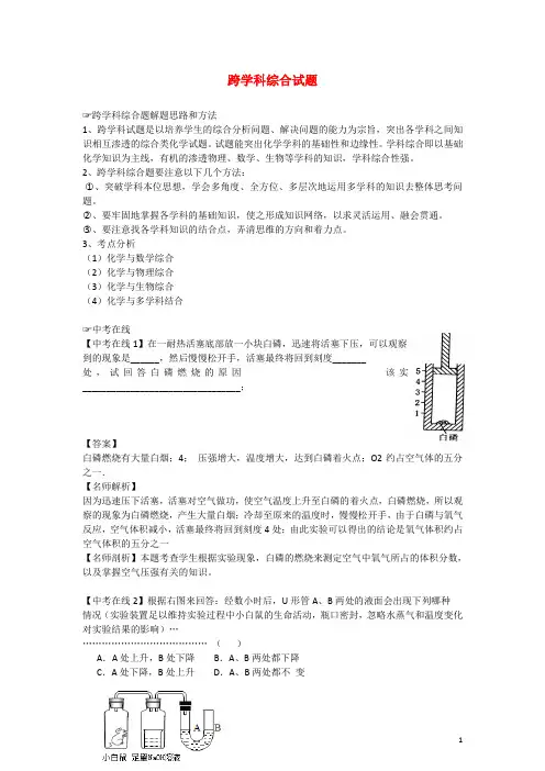 中考化学考前冲刺专题6 跨学科综合试题