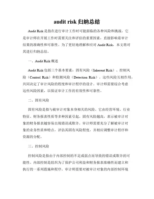 audit risk归纳总结