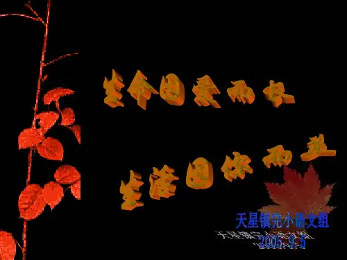 电脑基础知识学习提纲