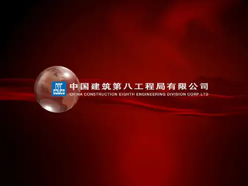 ppp工程项目述标汇报  ppt课件