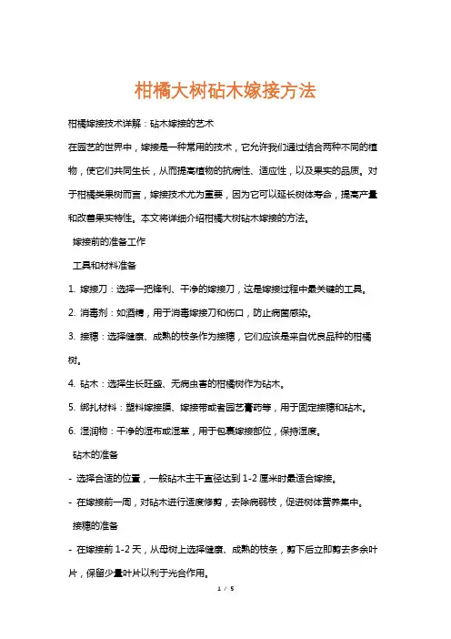 柑橘大树砧木嫁接方法