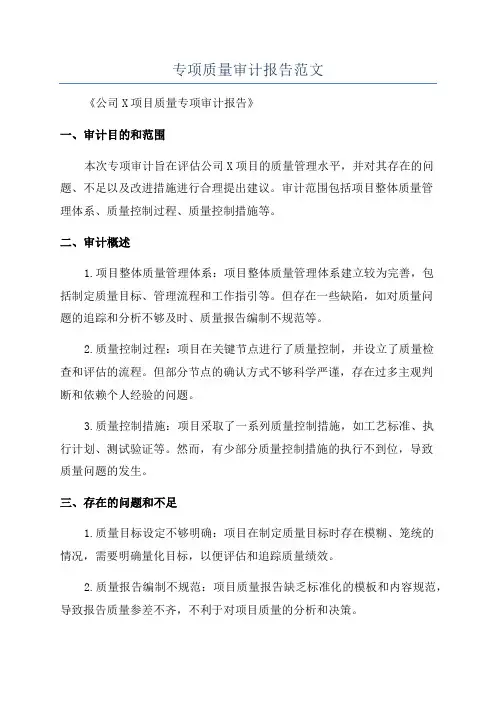 专项质量审计报告范文