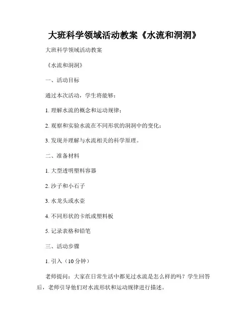 大班科学领域活动教案《水流和洞洞》