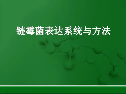 链霉菌表达系统作业