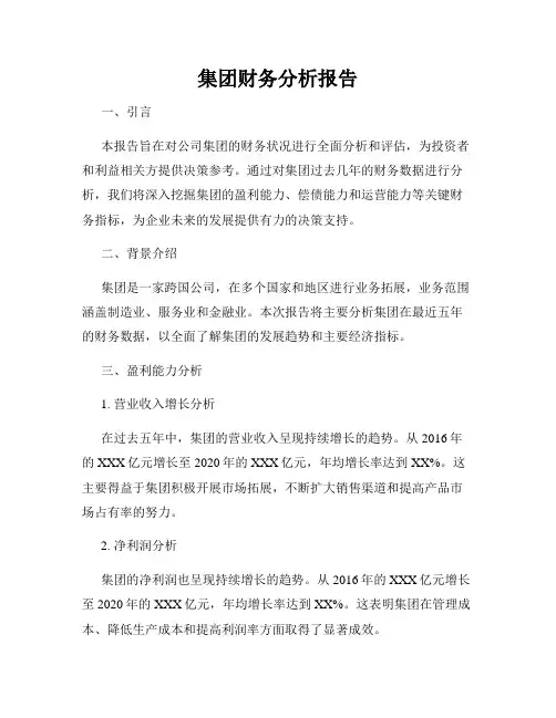 集团财务分析报告