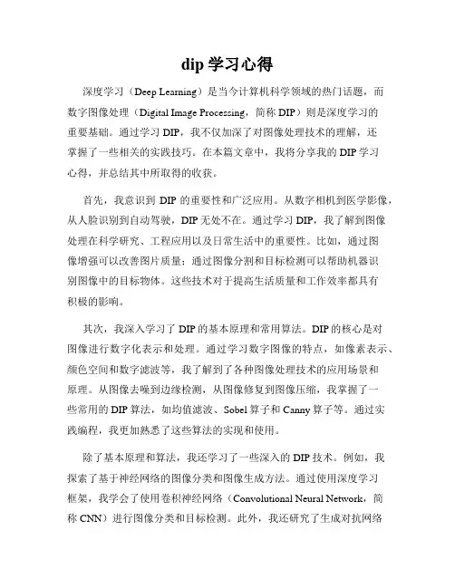 dip学习心得