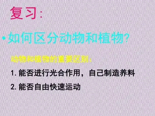 《常见的动物》课件11(18页)(浙教版七年级上)