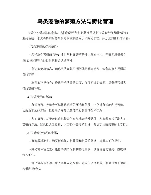 鸟类宠物的繁殖方法与孵化管理