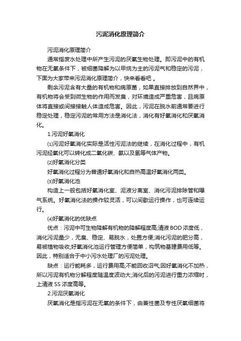 污泥消化原理简介