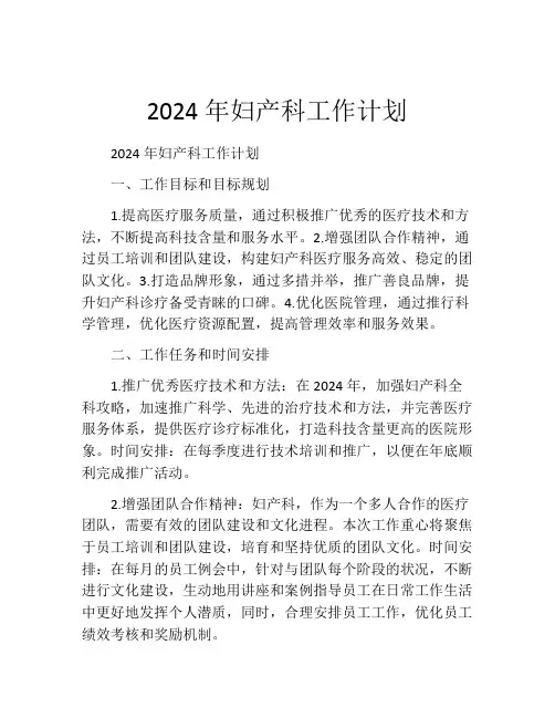 2024年妇产科工作计划(精选10篇)