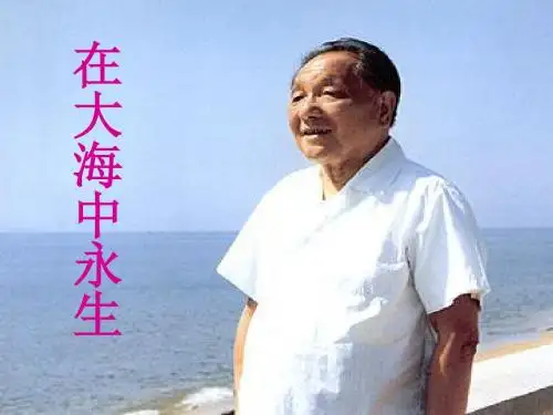 在大海中永生课件