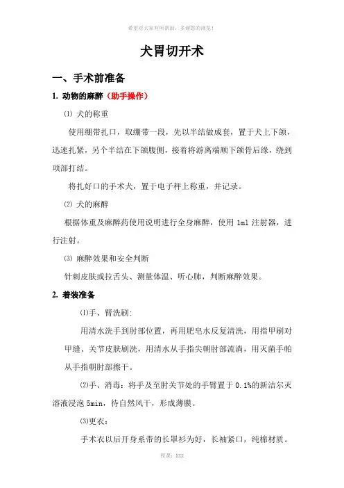 犬胃切开术
