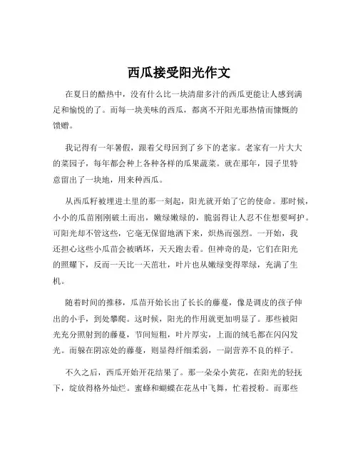 西瓜接受阳光作文