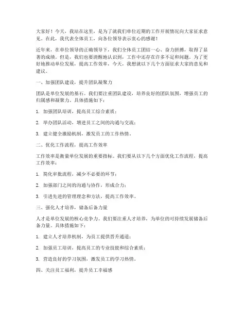 征求意见领导发言稿