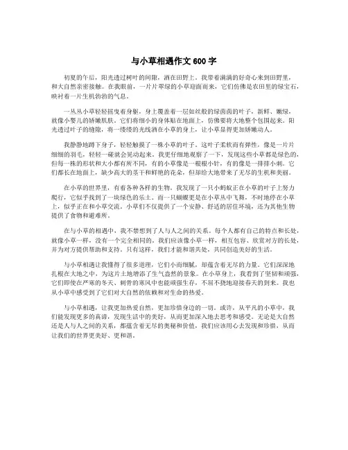 与小草相遇作文600字