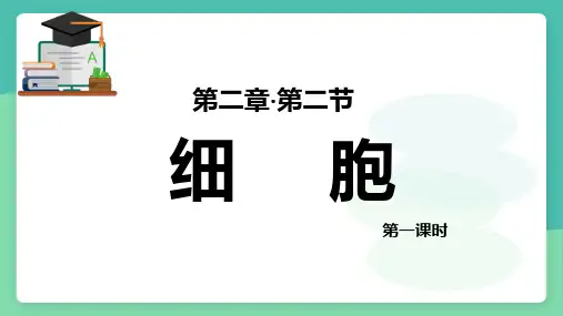 细胞——浙教版七年级上册科学
