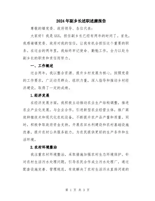 2024年副乡长述职述廉报告