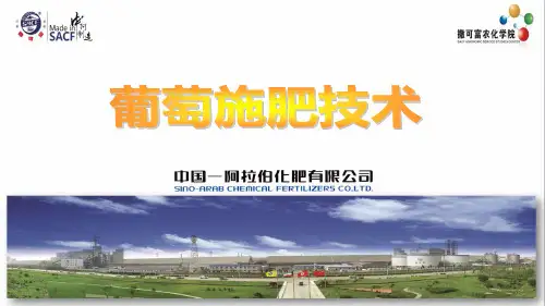 撒可富葡萄施肥与常见问题