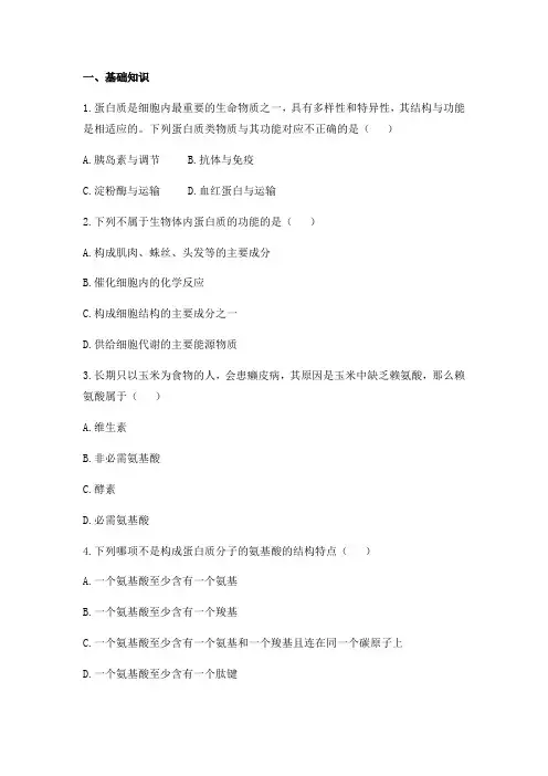 2.4 蛋白质是生命活动的主要承担者 练习【新教材】人教版(2019)高中生物必修一