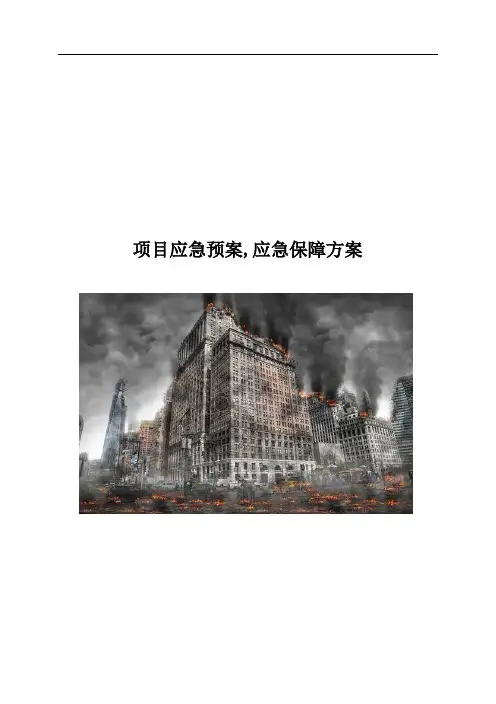 项目应急预案,应急保障方案