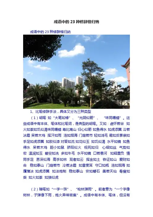 成语中的23种修辞格归纳