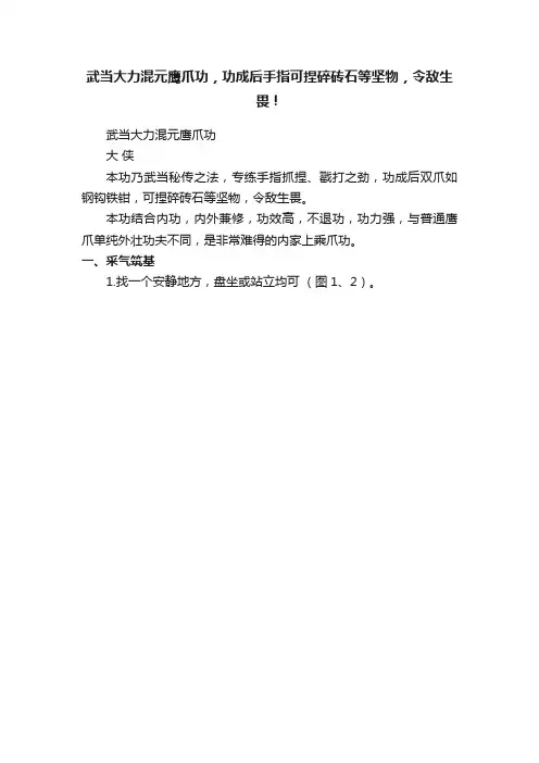武当大力混元鹰爪功，功成后手指可捏碎砖石等坚物，令敌生畏！