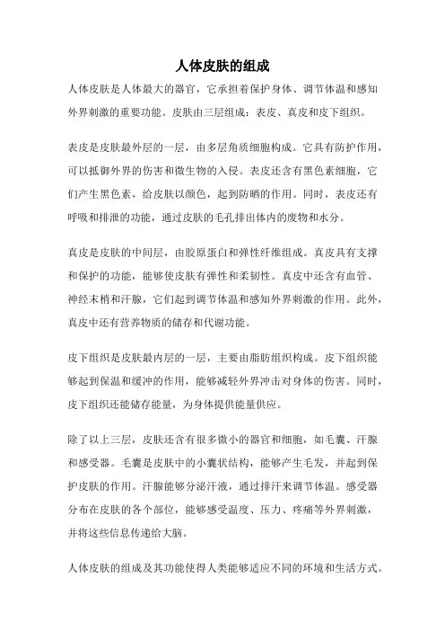 人体皮肤的组成