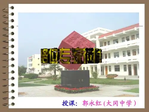 面对经济全球化