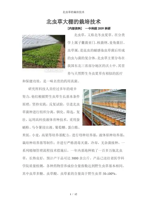 北虫草的栽培技术