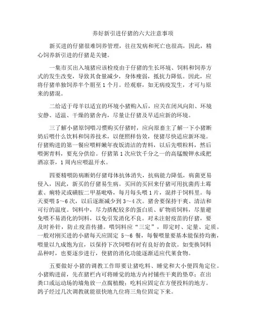 养好新引进仔猪的六大注意事项
