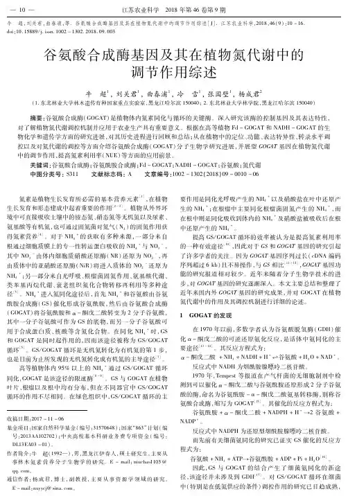 谷氨酸合成酶基因及其在植物氮代谢中的调节作用综述