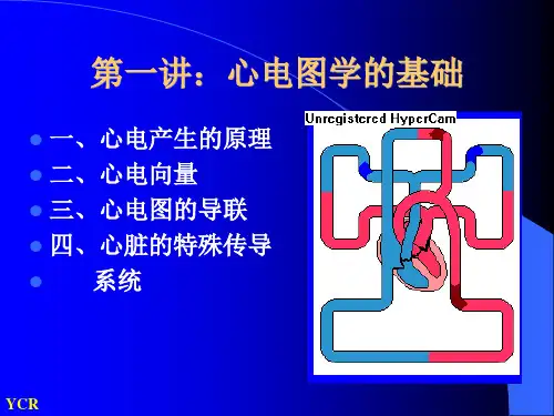 一心电图讲义