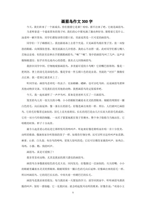 画眉鸟作文300字范文精选