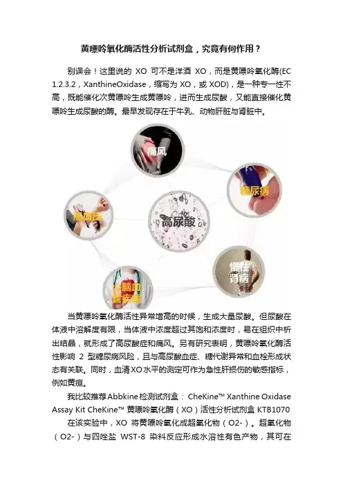 黄嘌呤氧化酶活性分析试剂盒，究竟有何作用？
