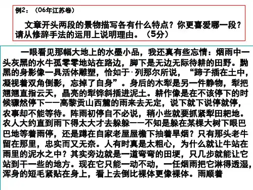 现代文阅读练习课堂PPT