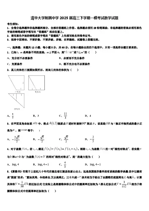 清华大学附属中学2025届高三下学期一模考试数学试题含解析