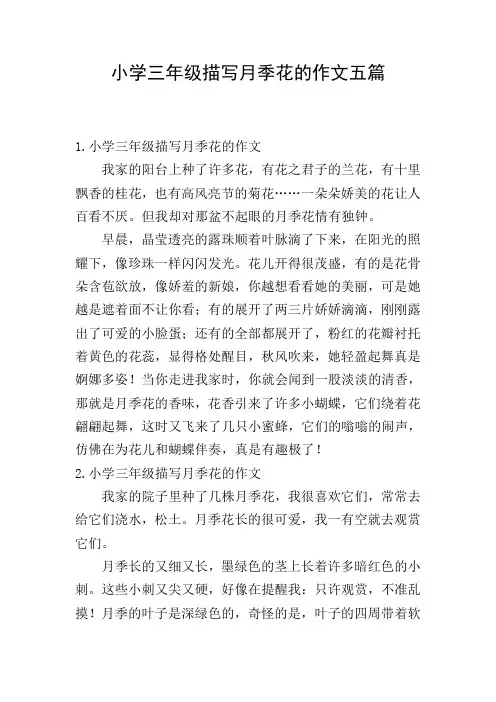 小学三年级描写月季花的作文五篇
