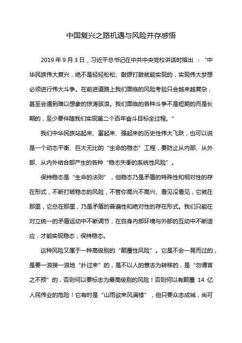 中国复兴之路机遇与风险并存感悟