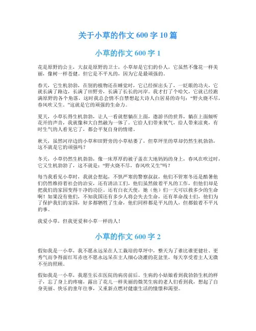 关于小草的作文600字10篇