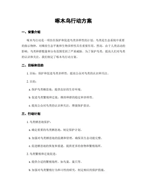 啄木鸟行动方案