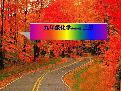 九年级化学《走进化学实验室》课件_3