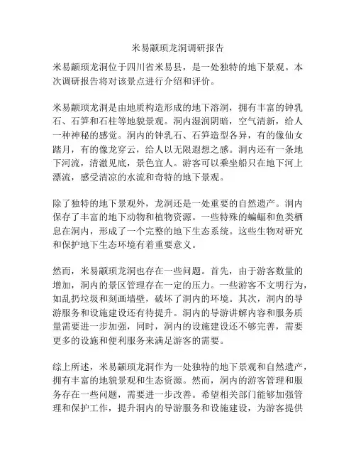 米易颛顼龙洞调研报告