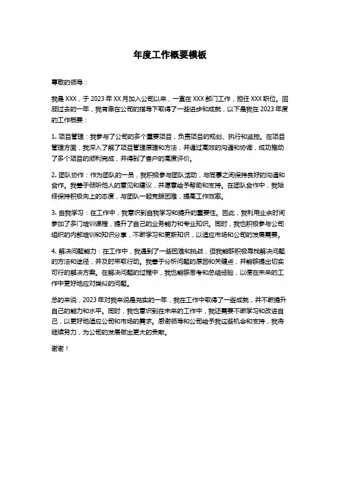 年度工作概要模板