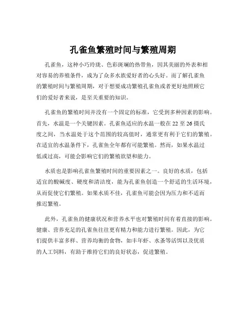 孔雀鱼繁殖时间与繁殖周期