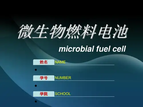 微生物燃料电池
