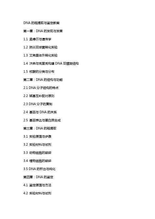 DNA的粗提取与鉴定教案