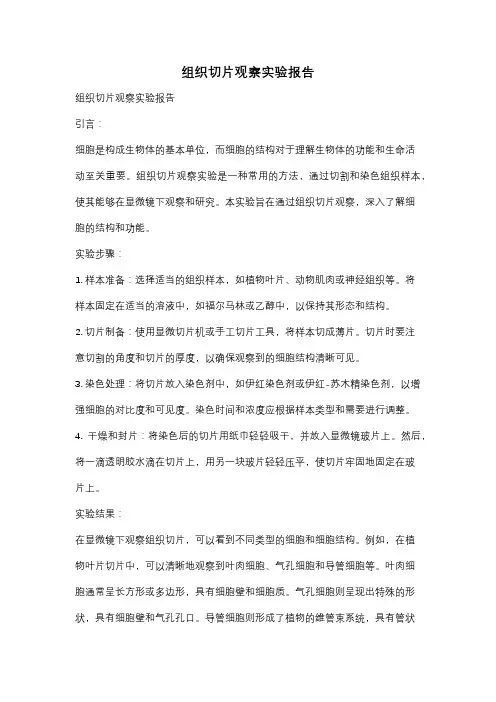 组织切片观察实验报告